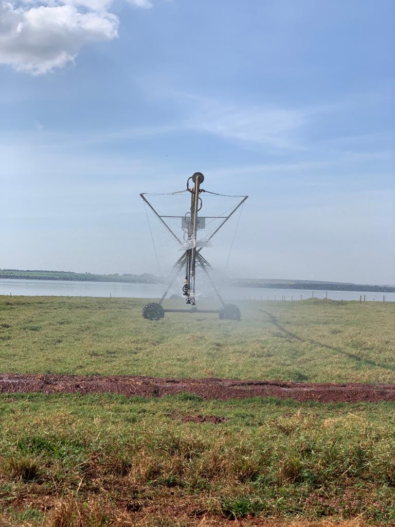 agricultural field